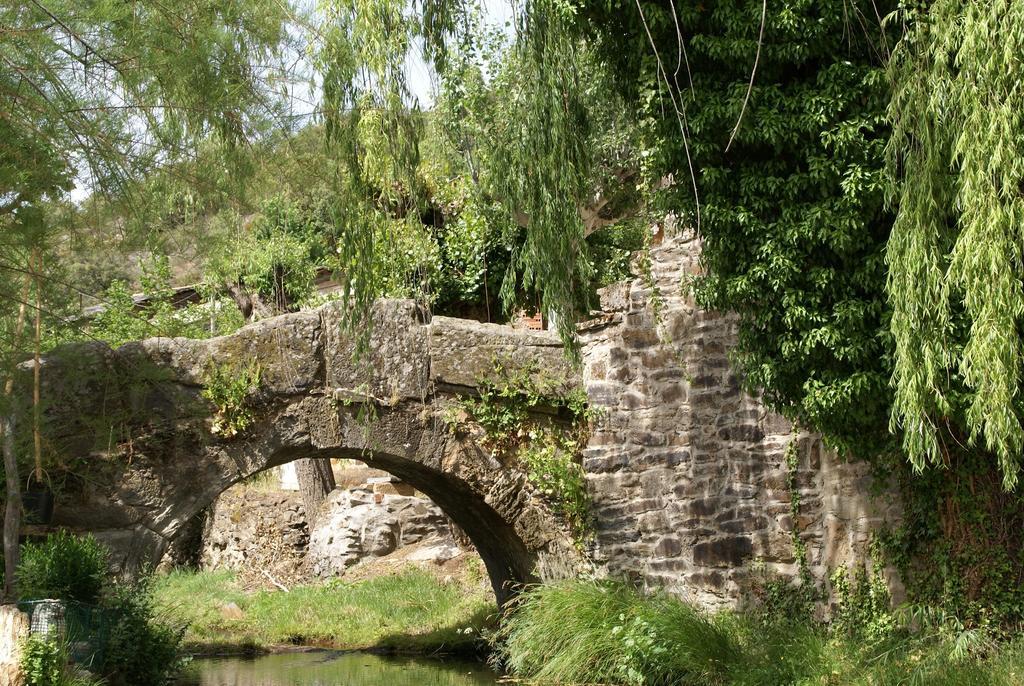 El Molino De Losacio Luaran gambar